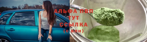 ешки Алексин