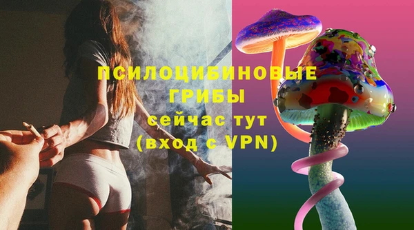 ешки Алексин