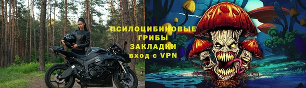 ешки Алексин