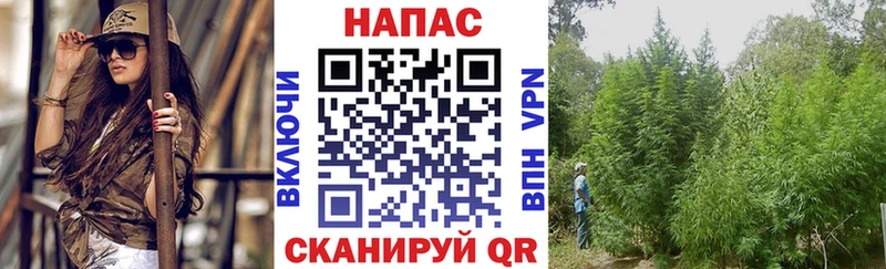Конопля VHQ  Вилюйск 